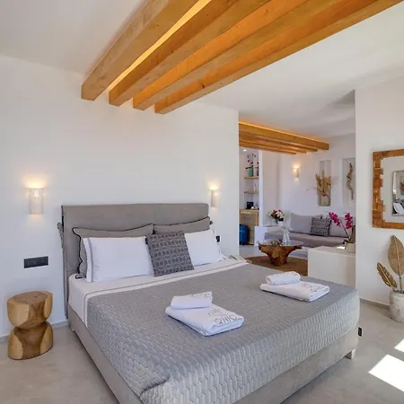 Hotel Ionic