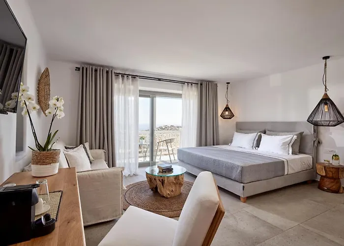 Hotel Ionic Super Paradise Beach (Mykonos)